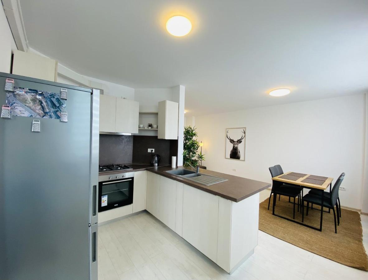 Charming Flat In Brasov With Balcony Panoramic View Daire Dış mekan fotoğraf